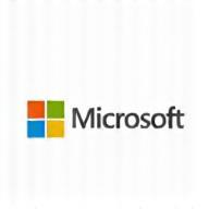 Logo Microsoft Partner